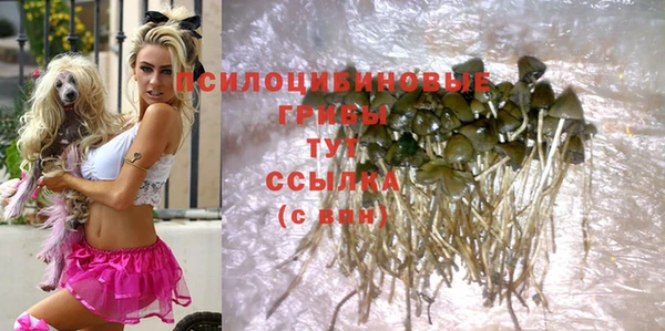 apvp Абинск
