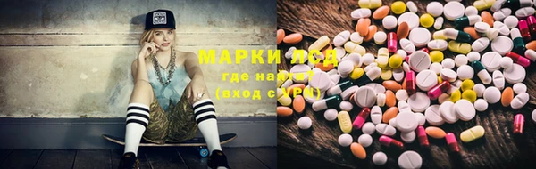 хмурый Алексин