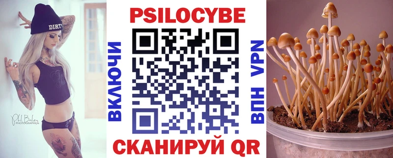 mega ссылки  Краснозаводск  Псилоцибиновые грибы GOLDEN TEACHER 